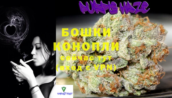 дживик Елабуга