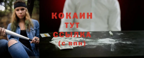 дживик Елабуга