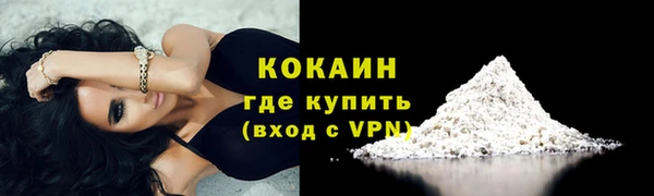 дживик Елабуга