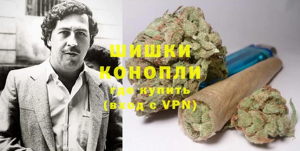 дживик Елабуга