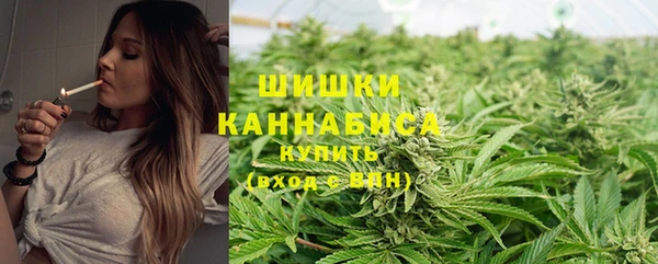 прущий лед Елизово