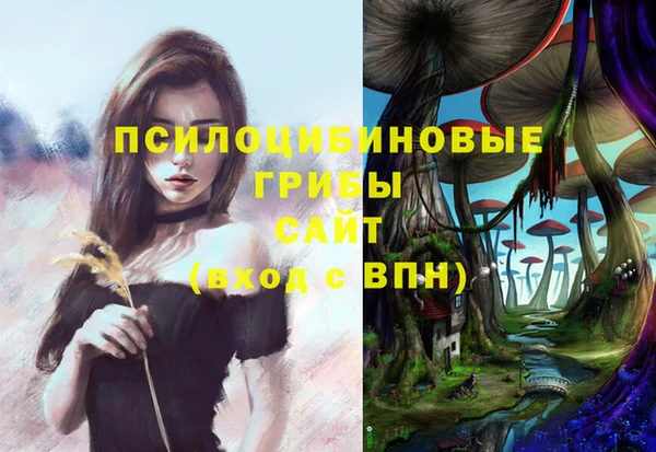дживик Елабуга
